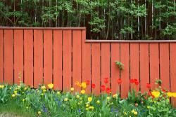 Wooden Gated Fence